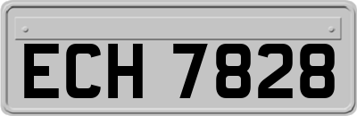ECH7828