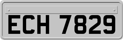 ECH7829