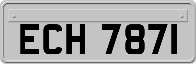 ECH7871