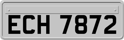 ECH7872