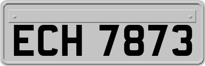 ECH7873