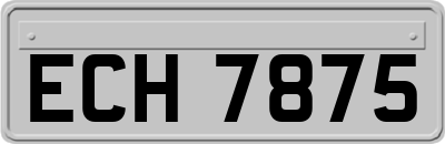 ECH7875