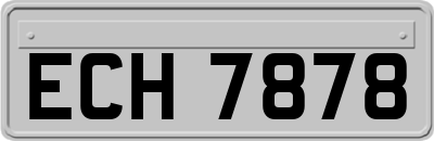 ECH7878