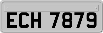ECH7879