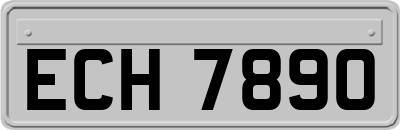 ECH7890