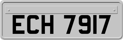 ECH7917