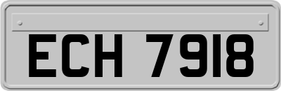 ECH7918