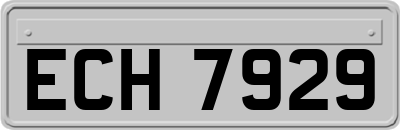 ECH7929