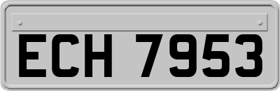 ECH7953