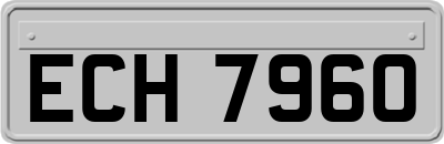 ECH7960