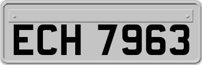 ECH7963