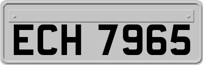 ECH7965