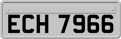 ECH7966