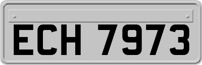 ECH7973
