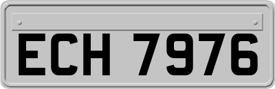 ECH7976