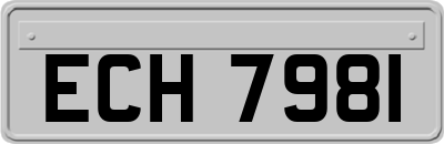 ECH7981