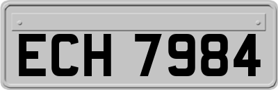 ECH7984