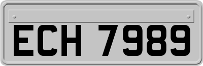 ECH7989