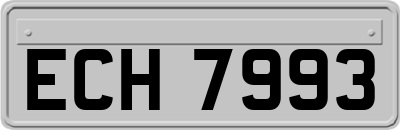 ECH7993