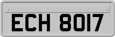 ECH8017