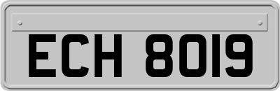 ECH8019