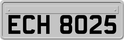 ECH8025