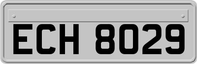 ECH8029