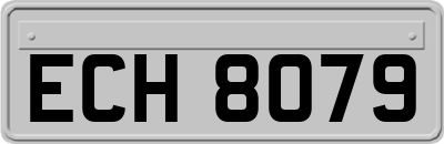 ECH8079