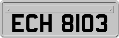ECH8103