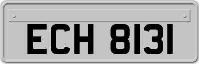 ECH8131