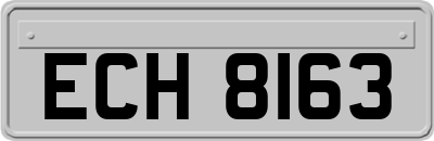 ECH8163