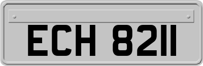 ECH8211