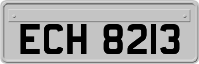 ECH8213