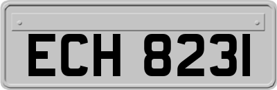ECH8231