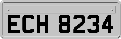 ECH8234