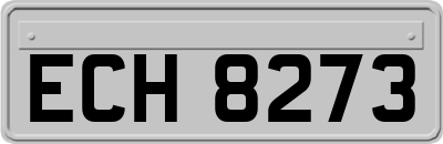 ECH8273