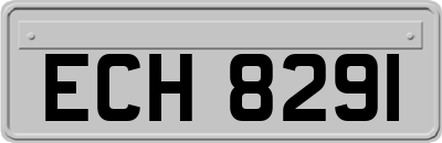 ECH8291