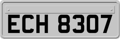 ECH8307