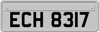 ECH8317