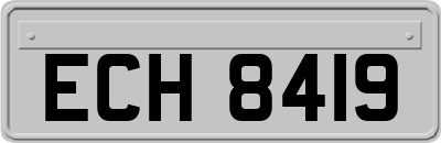 ECH8419