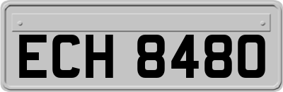 ECH8480