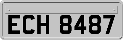ECH8487
