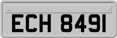 ECH8491