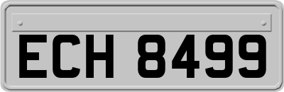 ECH8499