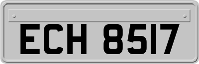 ECH8517