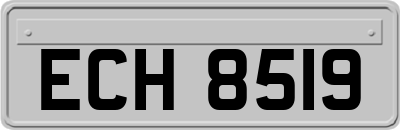 ECH8519
