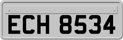 ECH8534