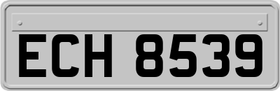ECH8539
