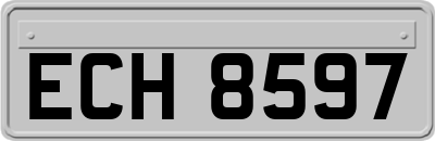 ECH8597