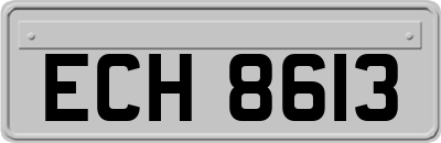 ECH8613